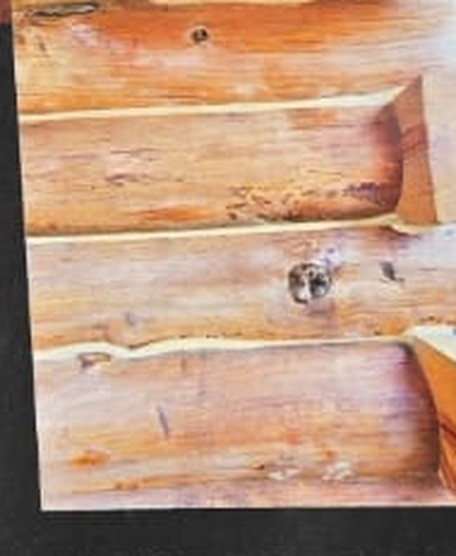 Solid log wall texture — Timberstone