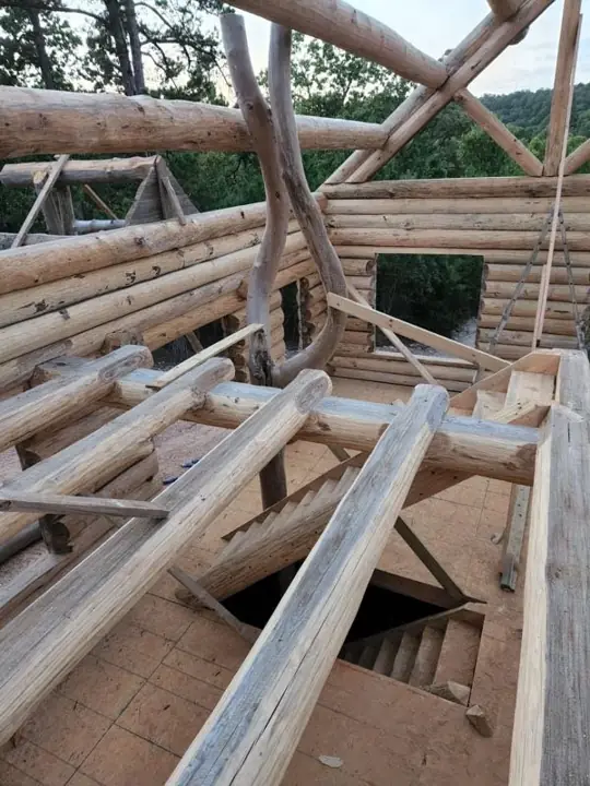Log roof framing overhead during a build
