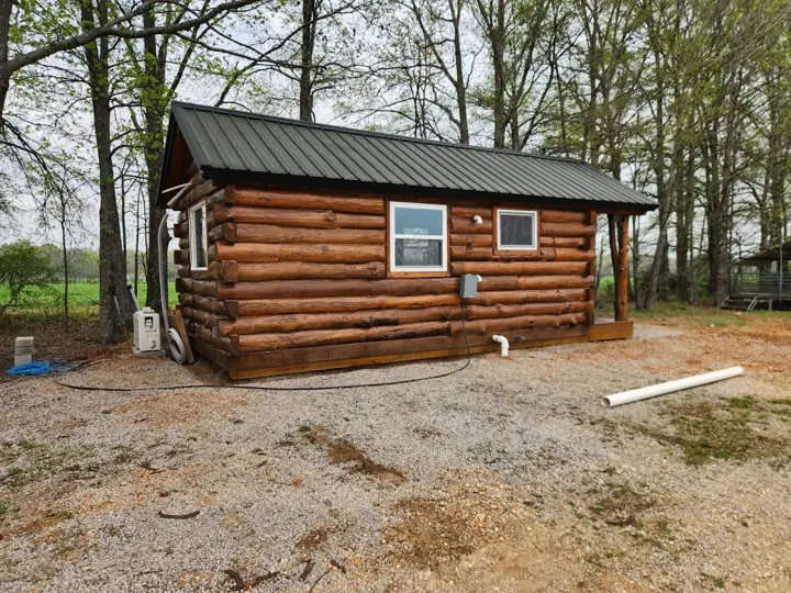 Solid-log cabin side view with metal roof, in the trees